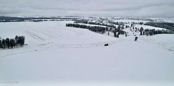 40 Acres of Land for Sale in Craigmont, Idaho