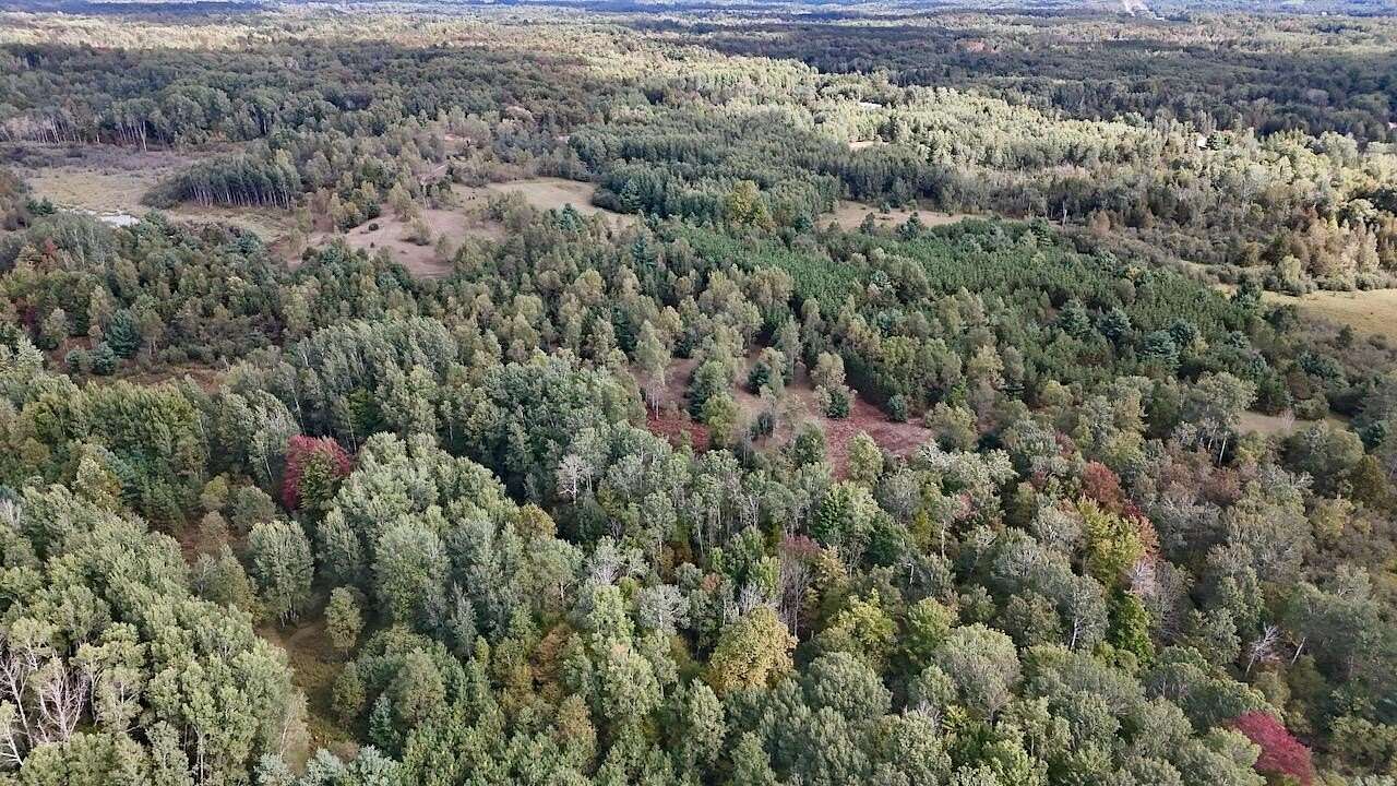 80 Acres of Recreational Land for Sale in Tustin, Michigan
