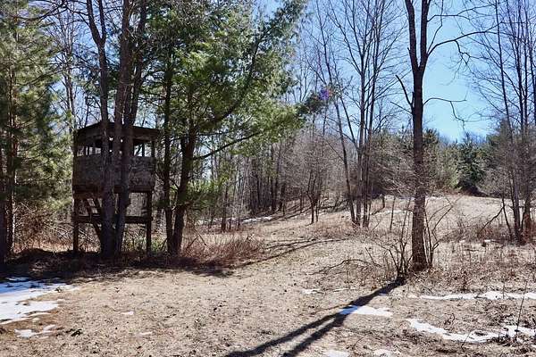 80 Acres of Recreational Land for Sale in Tustin, Michigan