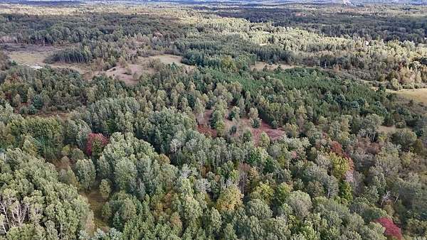 80 Acres of Recreational Land for Sale in Tustin, Michigan