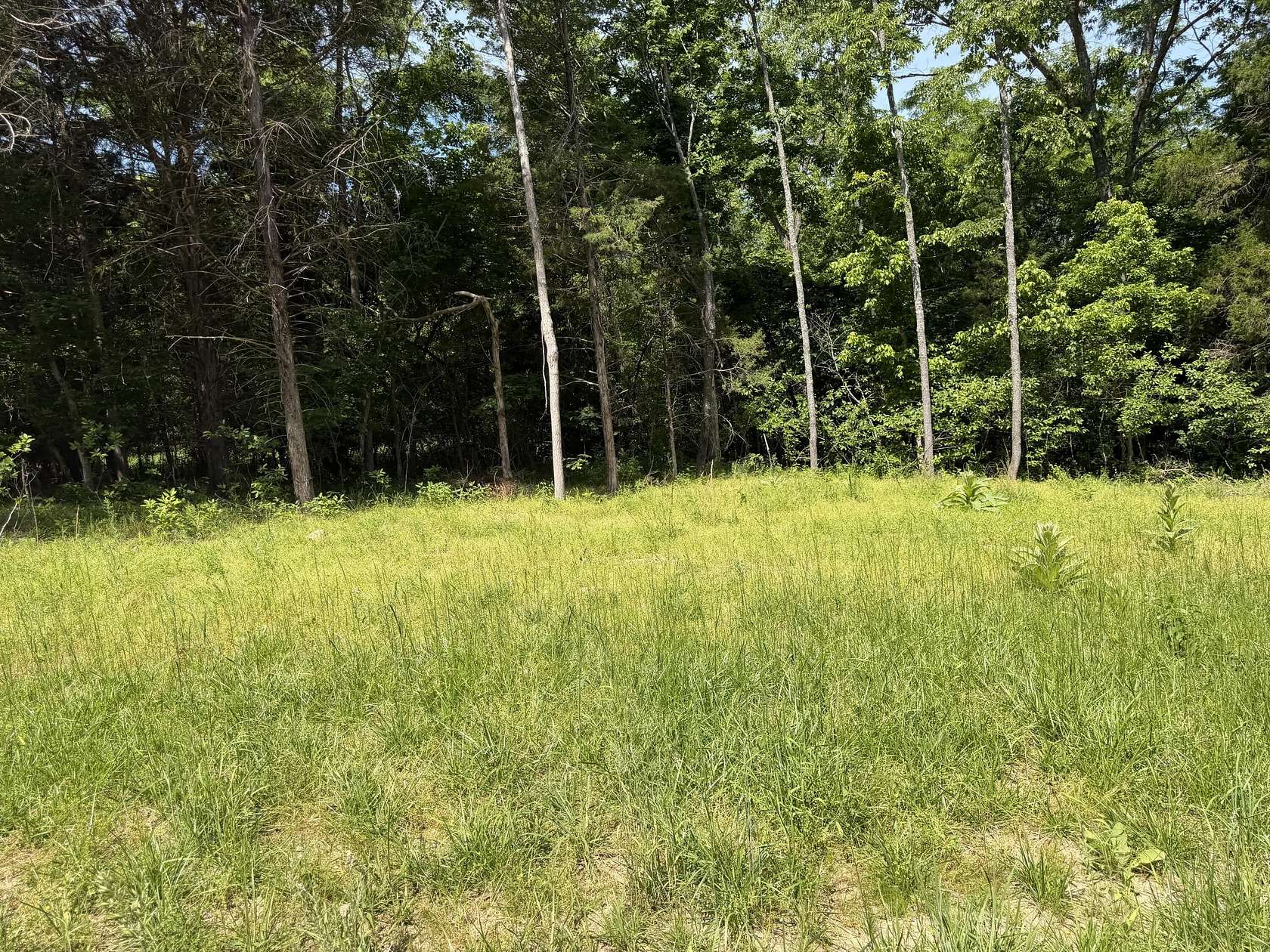5 Acres of Residential Land for Sale in Tecumseh, Missouri