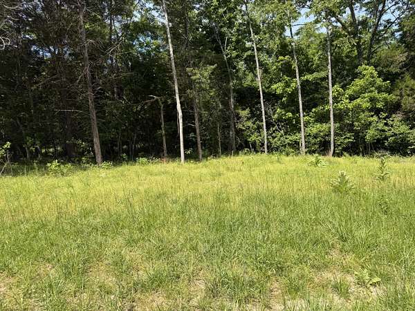 5 Acres of Residential Land for Sale in Tecumseh, Missouri