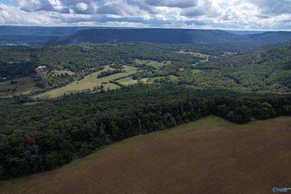 7.17 Acres of Residential Land for Sale in Flat Rock, Alabama
