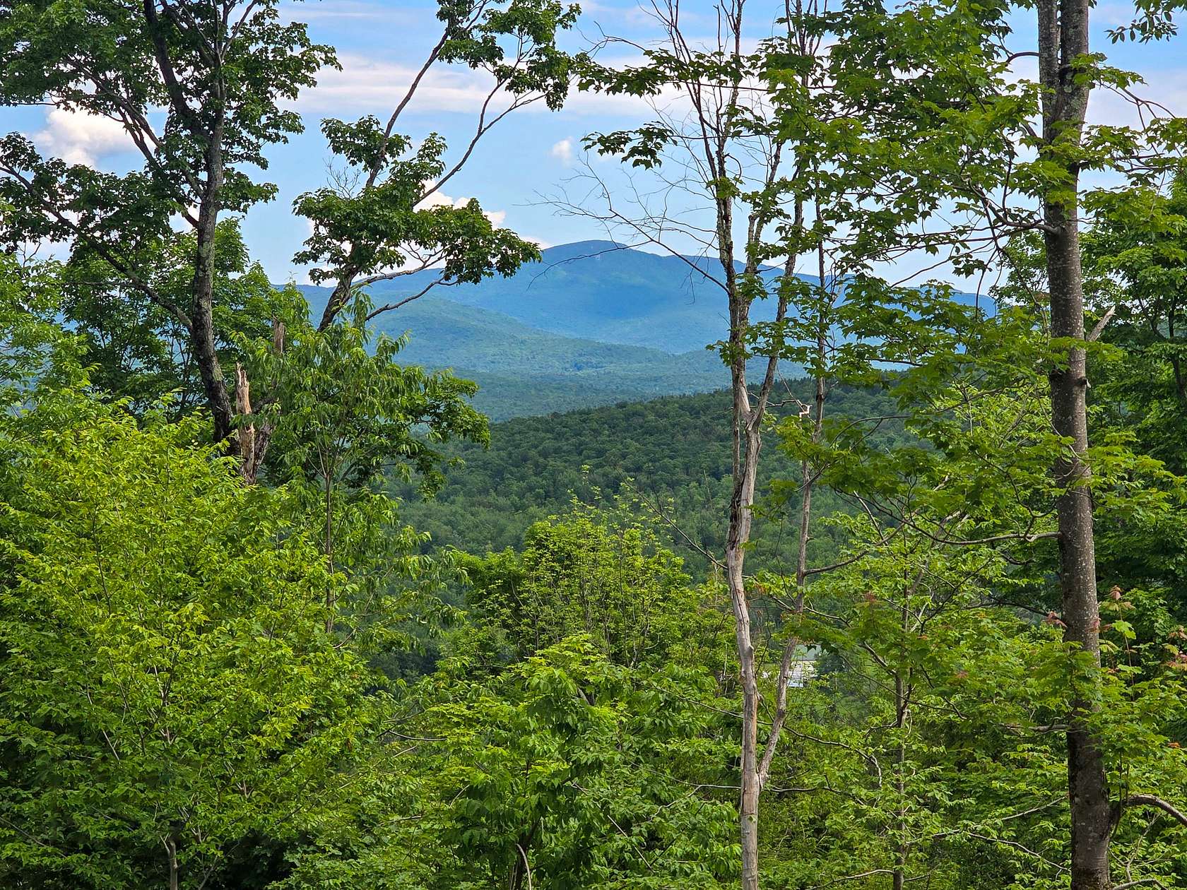 30.9 Acres of Recreational & Residential Land for Sale in Richford, Vermont