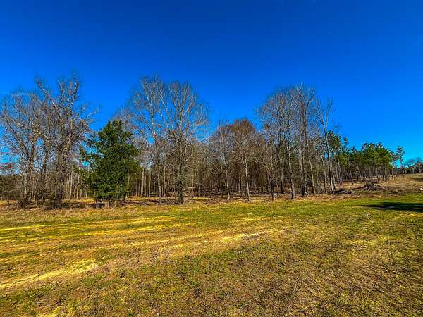 11.6 Acres of Land for Sale in Jacksonville, Texas