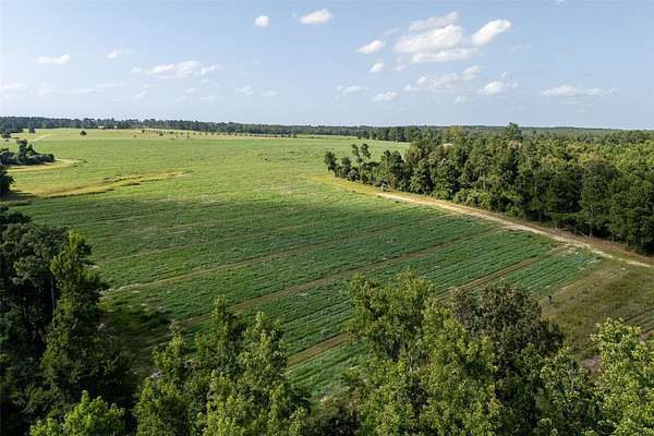 131 Acres of Land for Sale in Grapeland, Texas