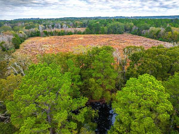 29.7 Acres of Land for Sale in Elkhart, Texas