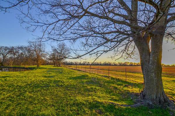 480 Acres of Land for Sale in Point, Texas