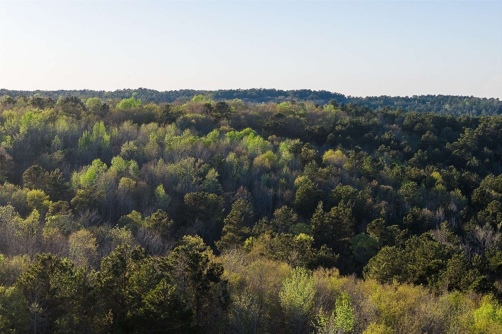 301 Acres of Recreational Land for Sale in Jacksonville, Texas