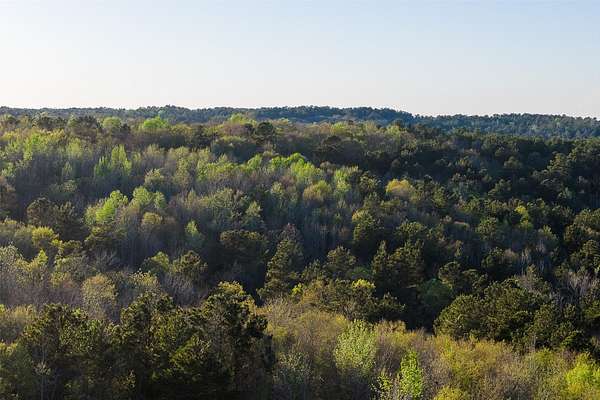 301 Acres of Recreational Land for Sale in Jacksonville, Texas