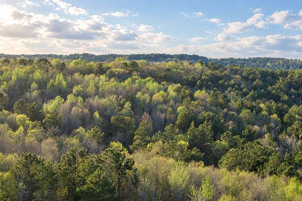 301 Acres of Recreational Land for Sale in Jacksonville, Texas