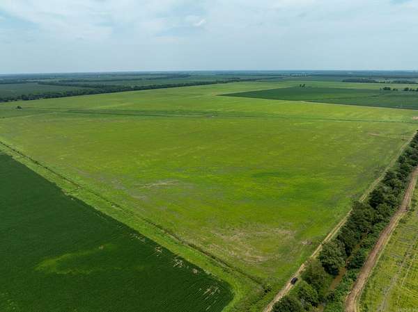 300 Acres of Land for Sale in Heth, Arkansas