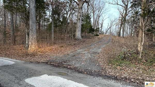 48 Acres of Recreational & Residential Land for Sale in Caneyville, Kentucky