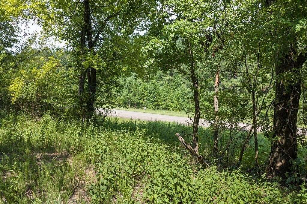 0.7 Acres of Residential Land for Sale in Clarksville, Virginia