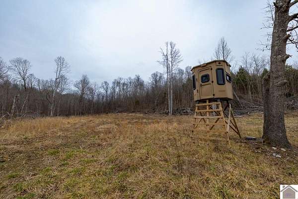 139 Acres of Recreational Land for Sale in Salem, Kentucky