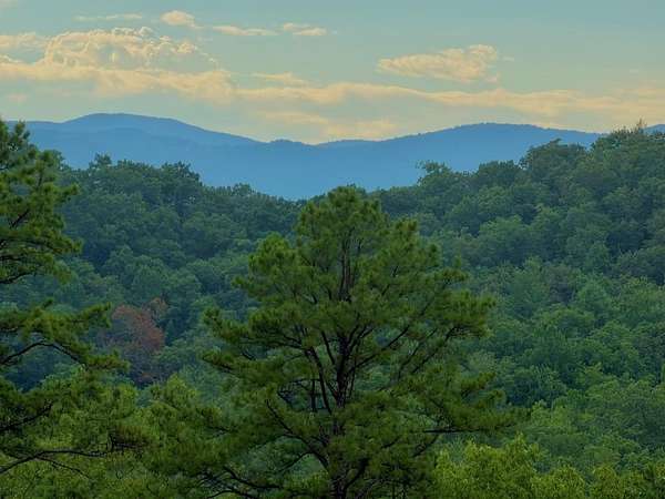 9 Acres of Residential Land for Sale in Robbinsville, North Carolina