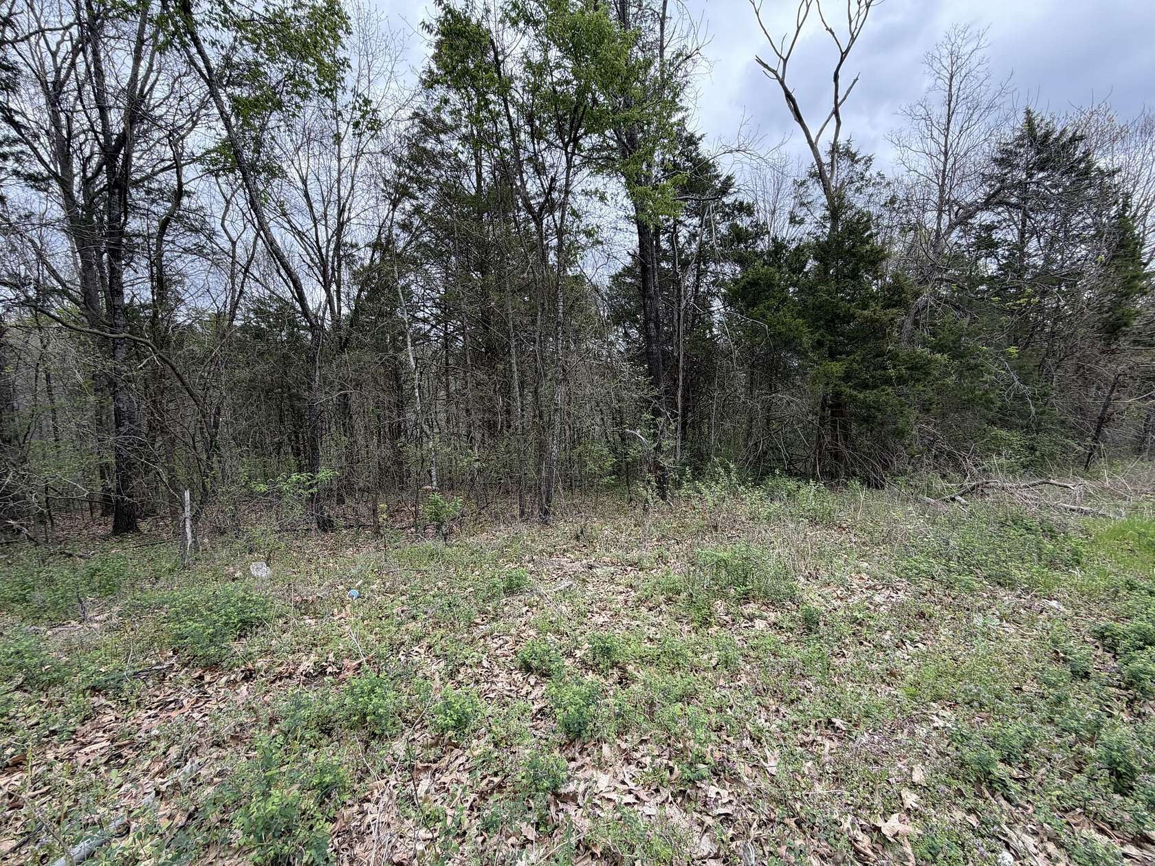 0.26 Acres of Residential Land for Sale in Cape Fair, Missouri