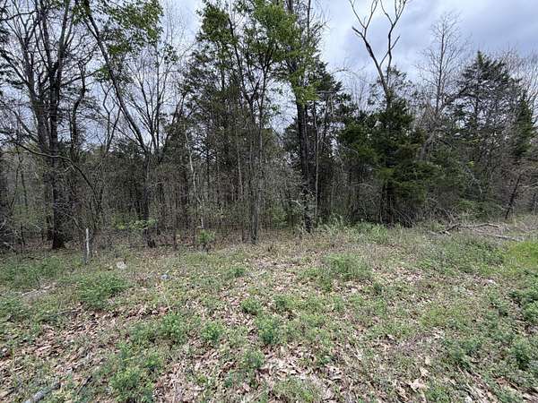 0.26 Acres of Residential Land for Sale in Cape Fair, Missouri