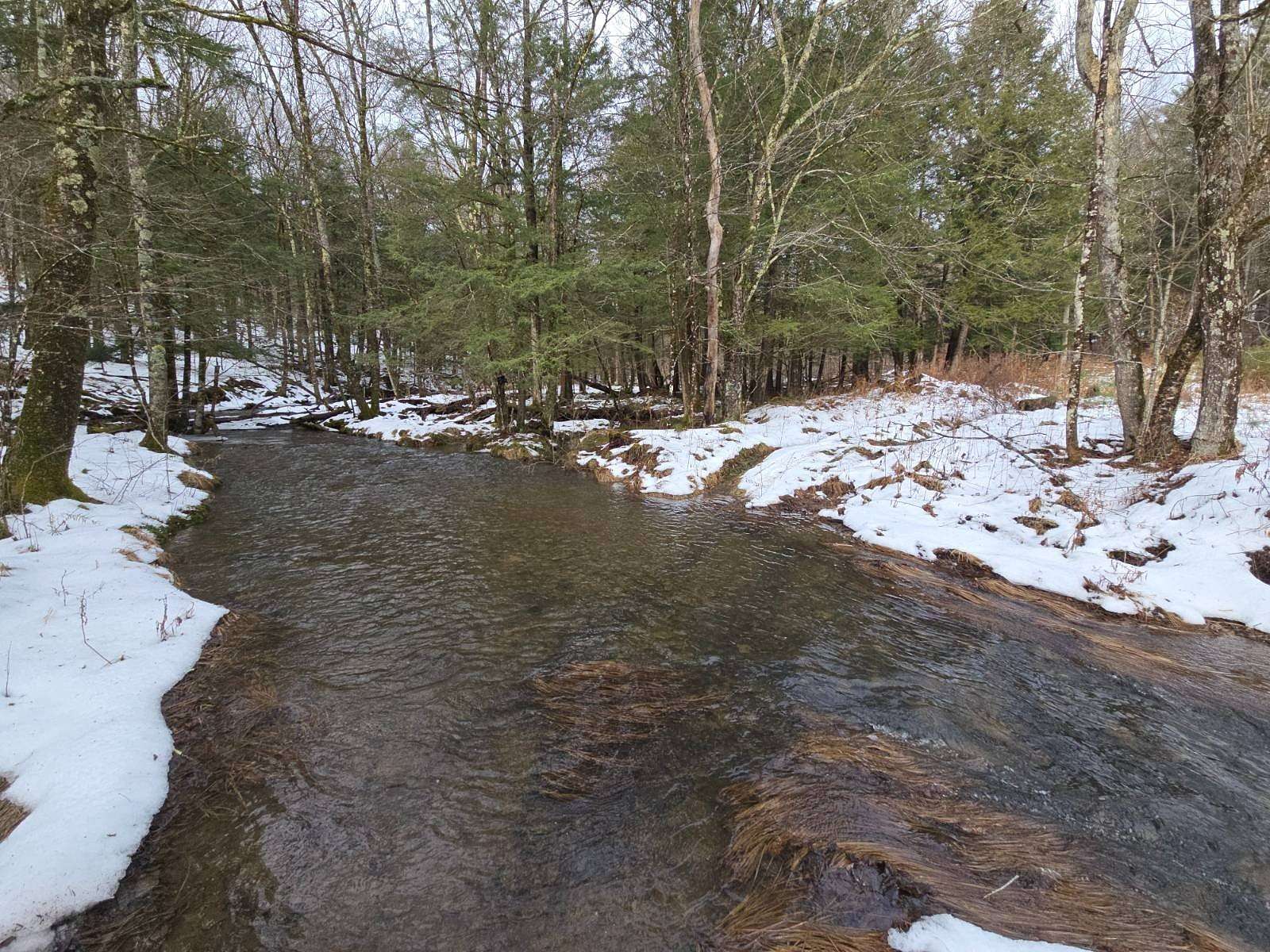 197 Acres of Recreational & Residential Land for Sale in Guilford, New York
