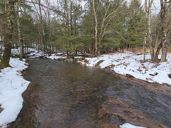 197 Acres of Recreational & Residential Land for Sale in Guilford, New York