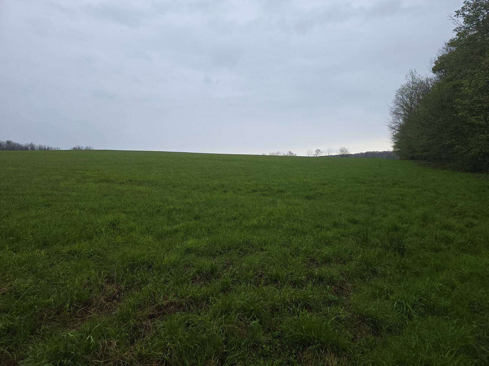 40.5 Acres of Land for Sale in Berkshire, New York