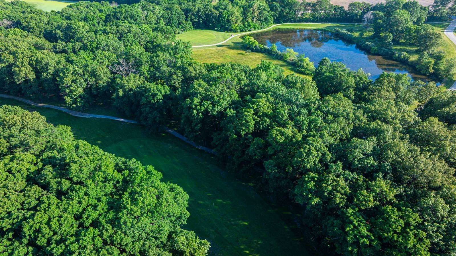 0.46 Acres of Residential Land for Sale in Pana, Illinois
