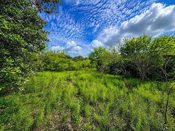 7.3 Acres of Residential Land for Sale in Columbus, Texas