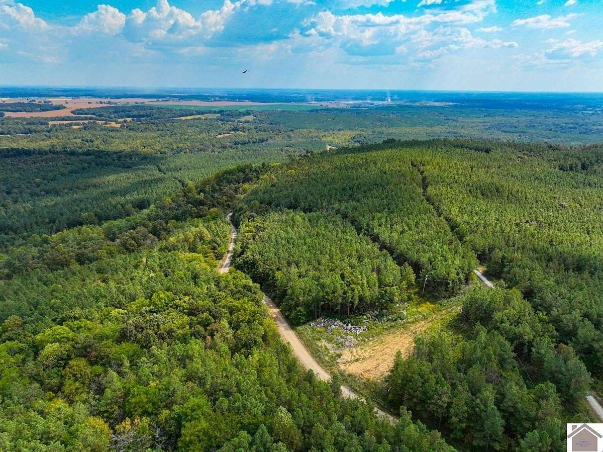 88 Acres of Recreational Land for Sale in Salem, Kentucky