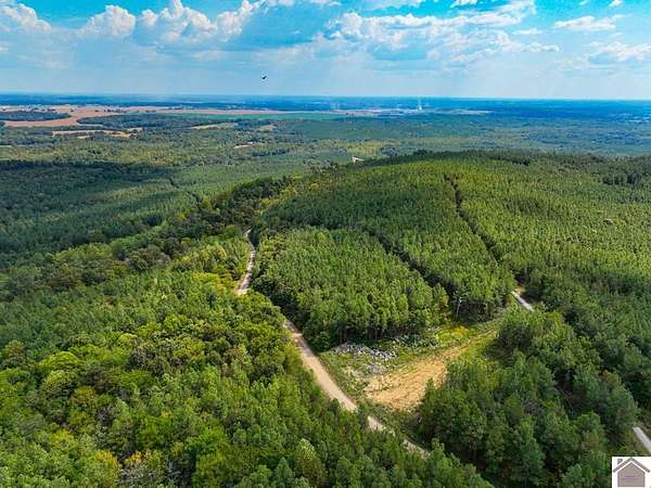 88 Acres of Recreational Land for Sale in Salem, Kentucky