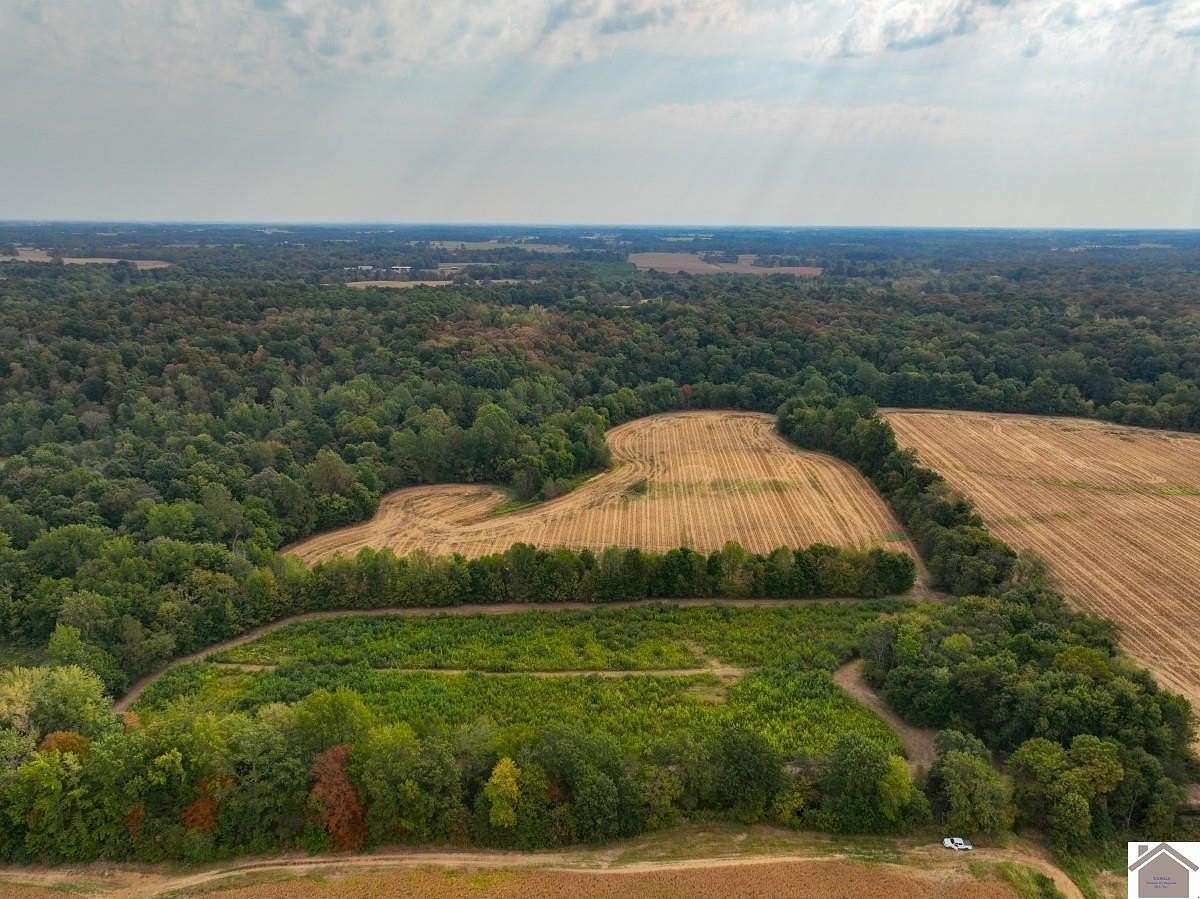 40 Acres of Land for Sale in Murray, Kentucky