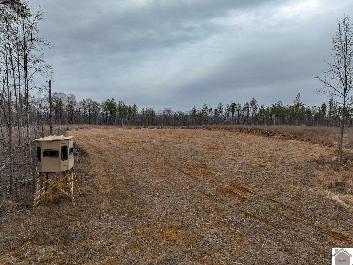 77 Acres of Recreational Land for Sale in Salem, Kentucky