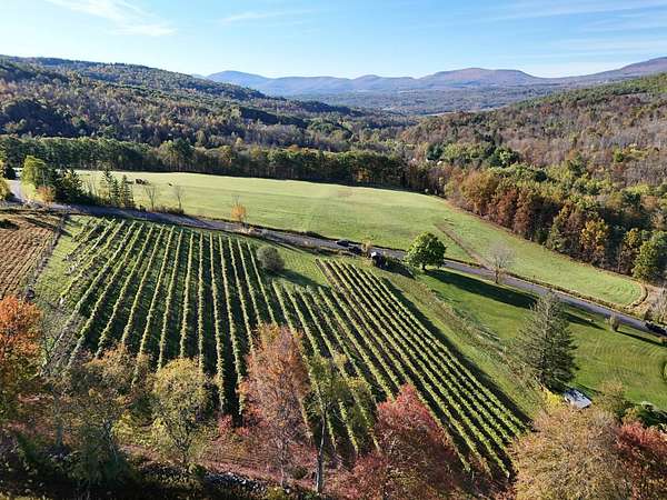 15.2 Acres of Agricultural Land for Sale in Preston Hollow, New York