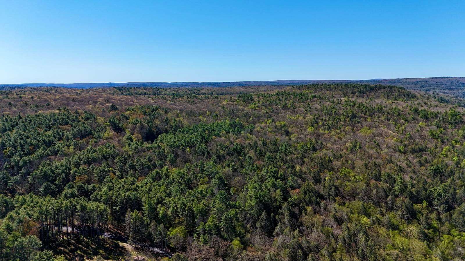 86.8 Acres of Recreational & Residential Land for Sale in Barryville, New York