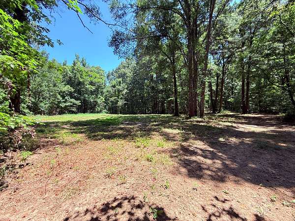 73.8 Acres of Recreational Land for Sale in Natchez, Mississippi