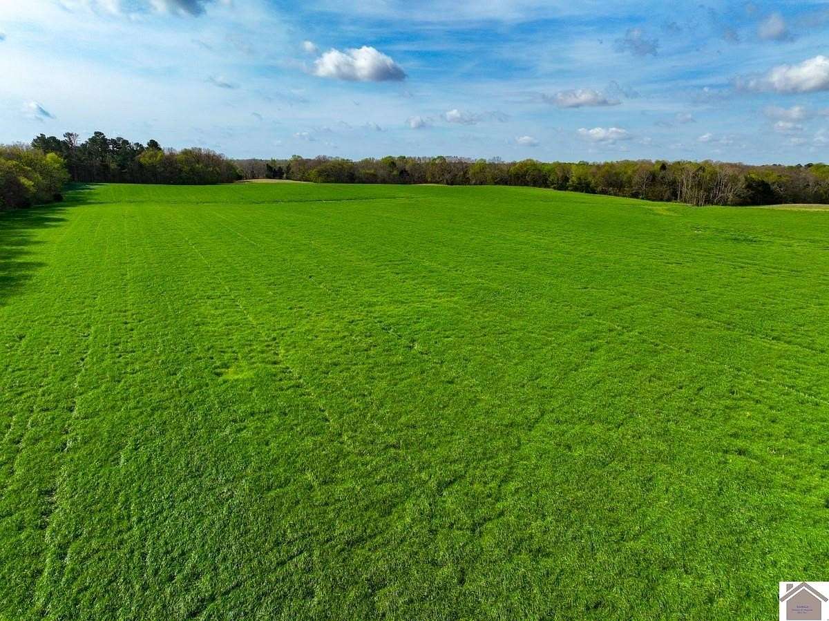 42.5 Acres of Agricultural Land for Sale in Murray, Kentucky