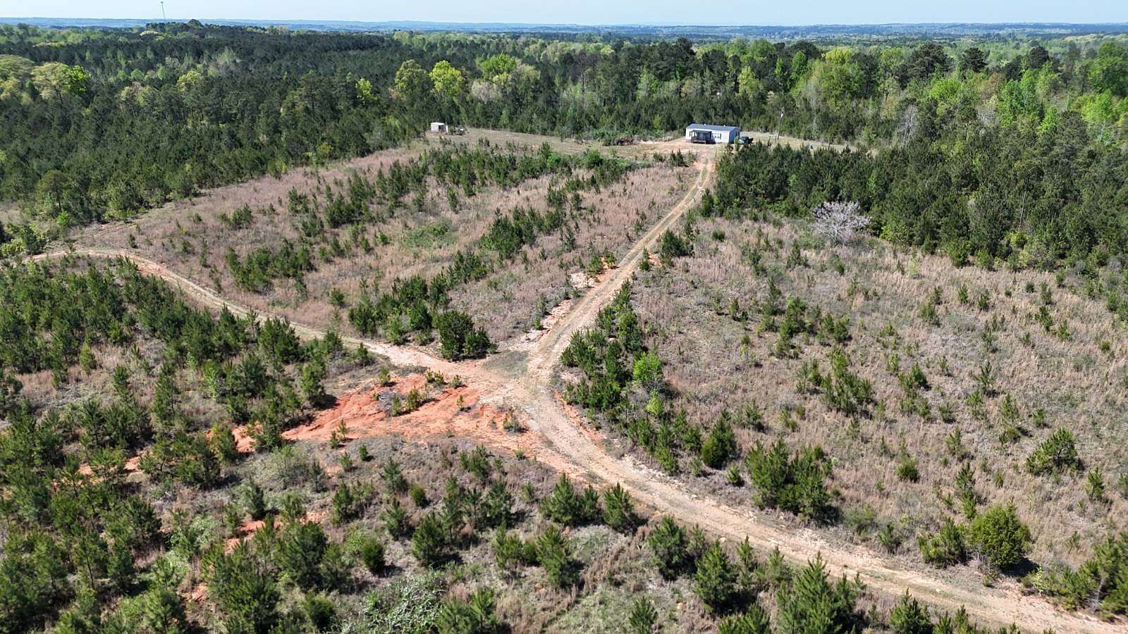 64 Acres of Recreational & Residential Land for Sale in Roanoke, Alabama