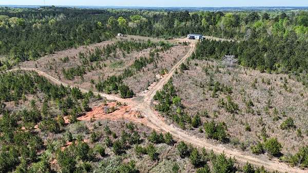 64 Acres of Recreational & Residential Land for Sale in Roanoke, Alabama