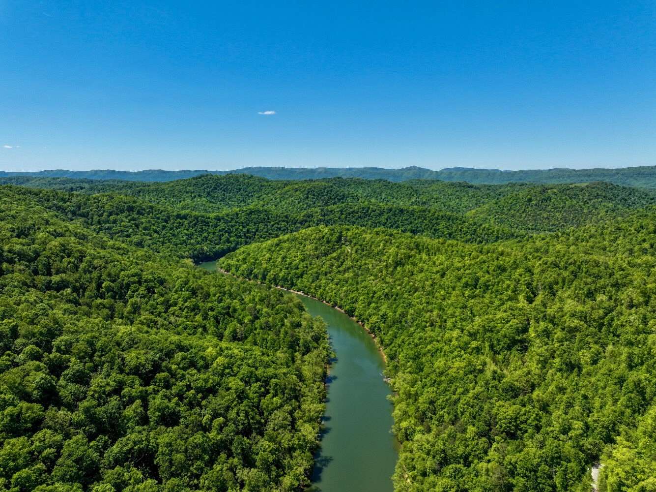 98.1 Acres of Land for Sale in Speedwell, Tennessee