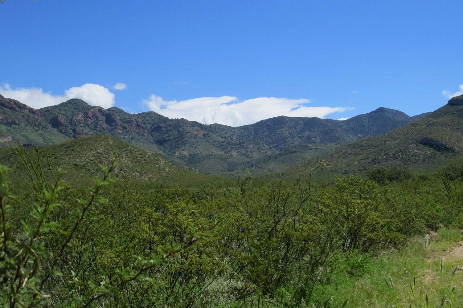 1,340 Acres of Land for Sale in Sierra Vista, Arizona