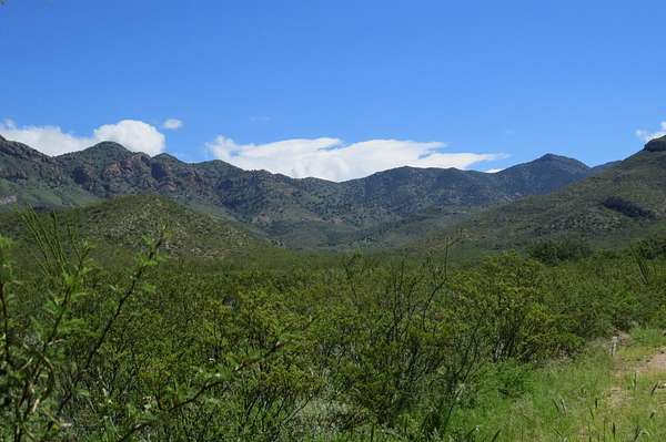1,340 Acres of Land for Sale in Sierra Vista, Arizona