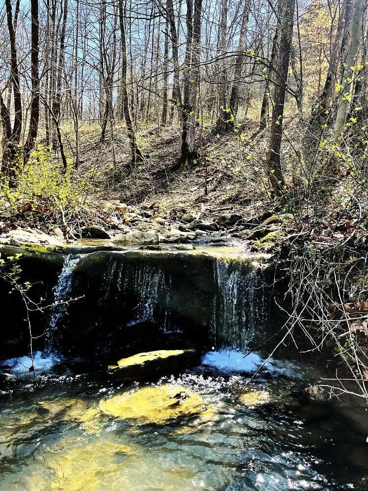 132 Acres of Recreational Land for Sale in Irvine, Kentucky
