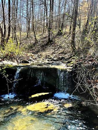 132 Acres of Recreational Land for Sale in Irvine, Kentucky