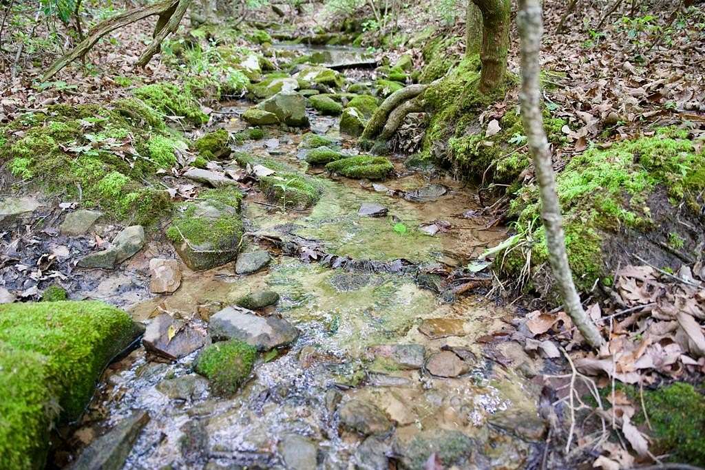 Residential Land for Sale in Spencer, Tennessee