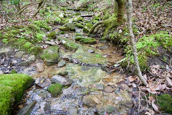 Residential Land for Sale in Spencer, Tennessee