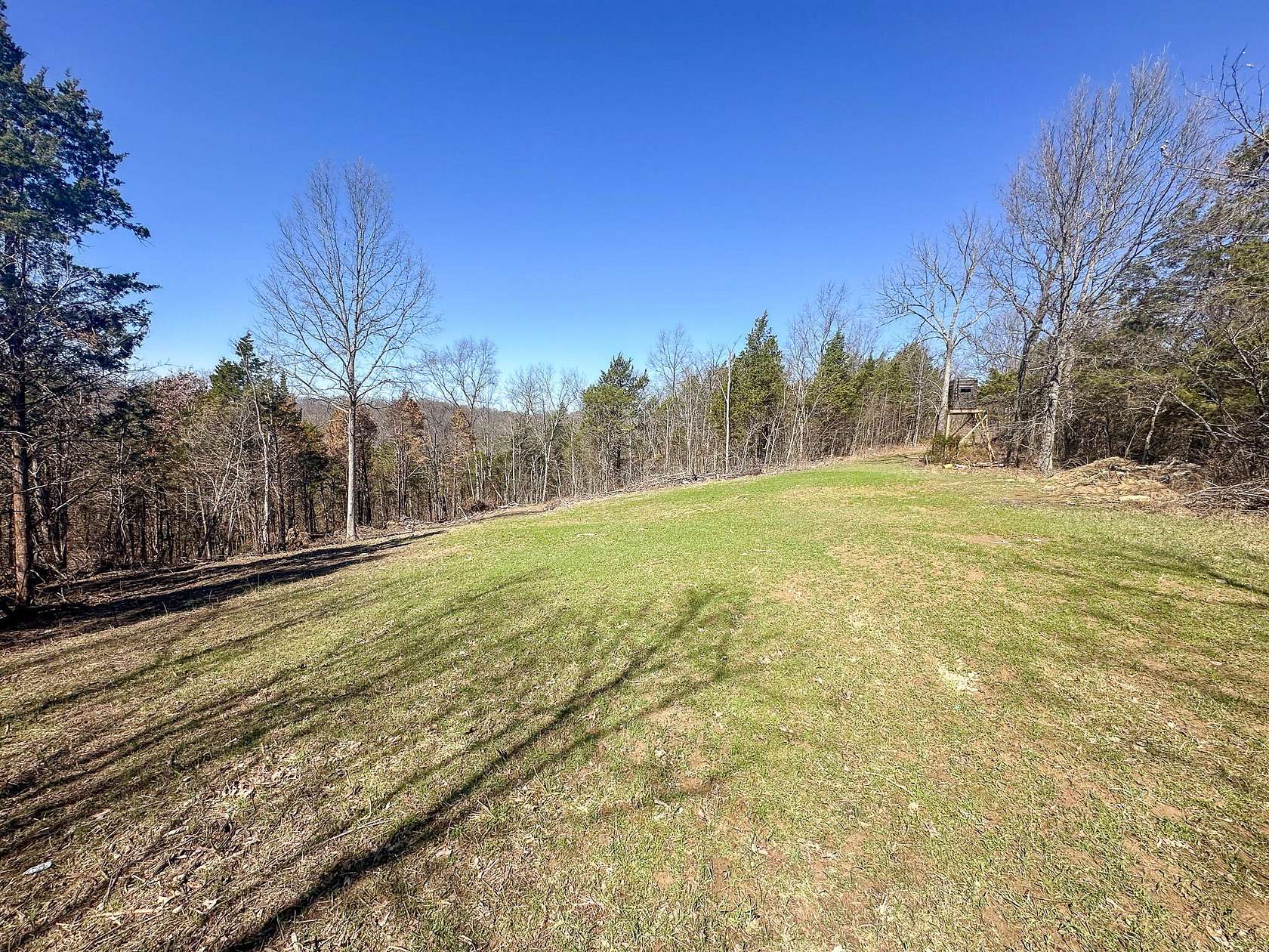 25.7 Acres of Recreational & Residential Land for Sale in Corinth, Kentucky