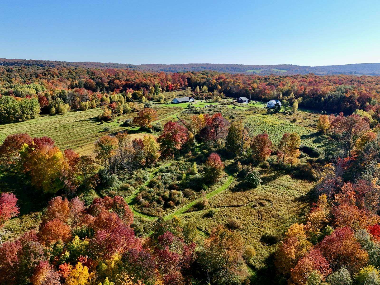 55.8 Acres of Improved Land for Sale in Livingston Manor, New York