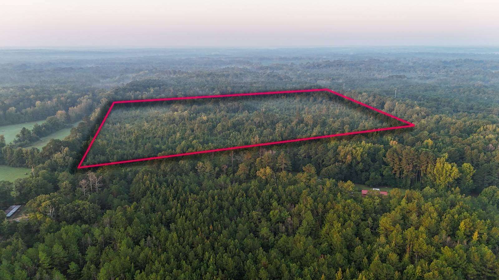40 Acres of Recreational Land for Sale in Pickens, Mississippi