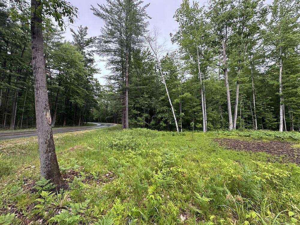 0.85 Acres of Land for Sale in Gladwin, Michigan