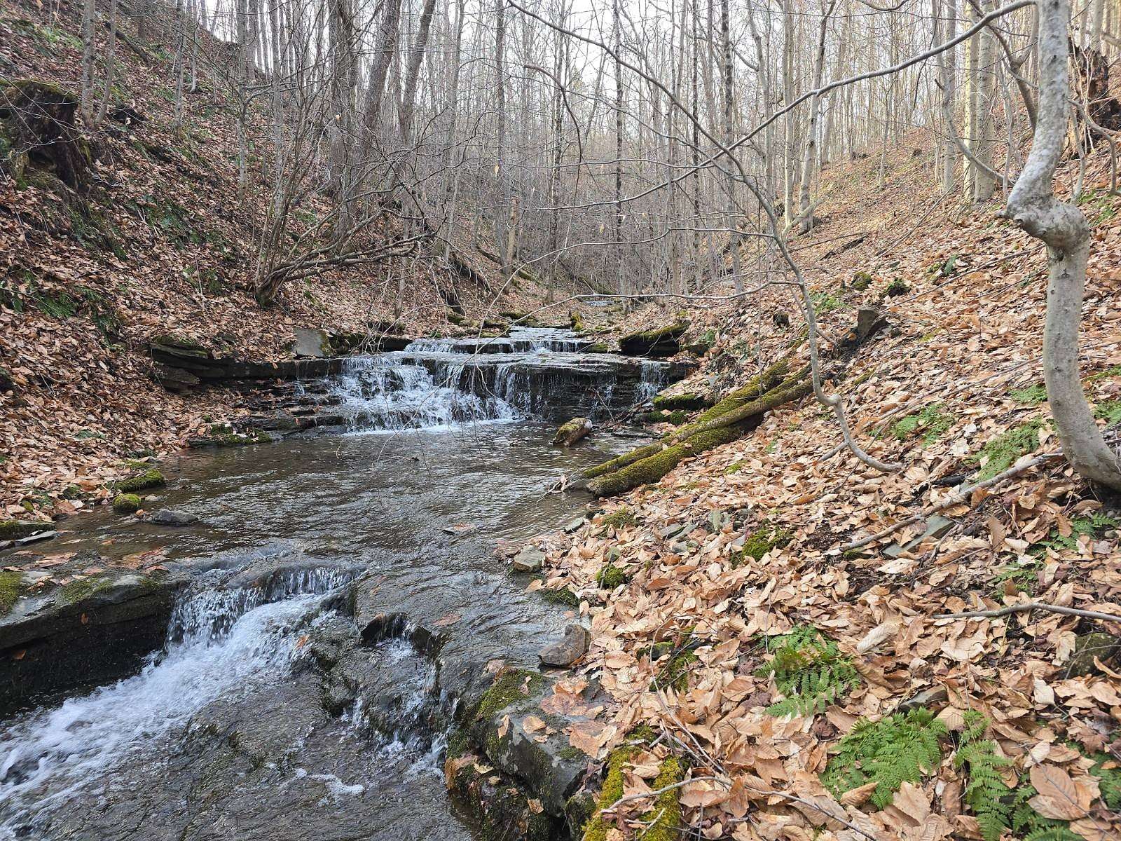 41.8 Acres of Recreational & Residential Land for Sale in Marathon, New York