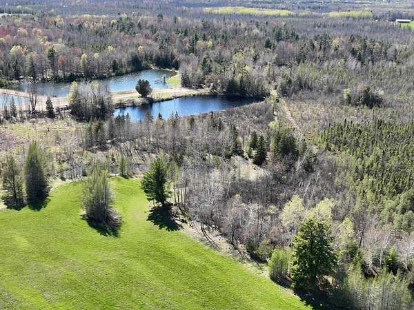 350 Acres of Land for Sale in Wallace, Michigan